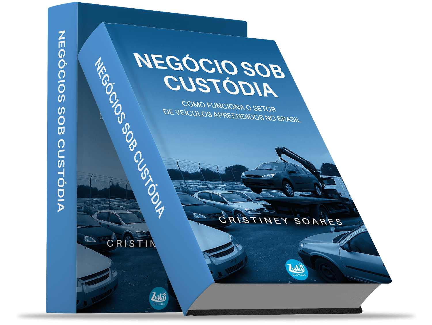 capa 3D ebook NEGOCIOS SOB CUSTODIA v5
